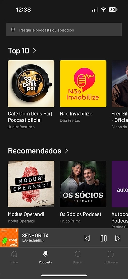 Imagem mostrando opções de músicas e playlist para você ouvir no Brisamusic.